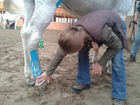 Остеопатическое лечение травм у лошадей