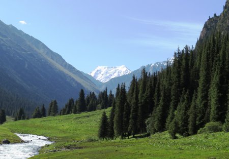 Уникальная природа Кыргызстана.(http://kgnature.com/)