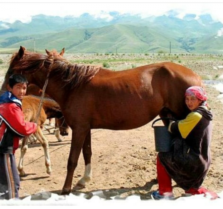 Уникальная природа Кыргызстана.(http://kgnature.com/)
