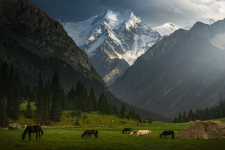 Нетронутая красота Кыргызстана в фотографиях Альберта Дроса