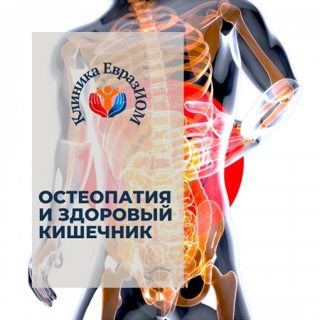 Остеопатия и здоровый кишечник
